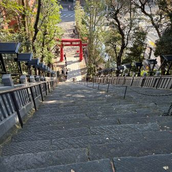 出世の階段。登って降りた