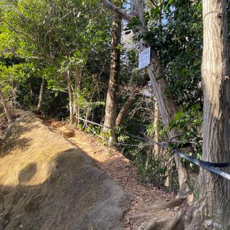 八王子城跡ハイキングルートの登山口から。
分かりにくい登山口だけど、以前来た時に迷った覚えがあったので、スムーズに右側に▶️