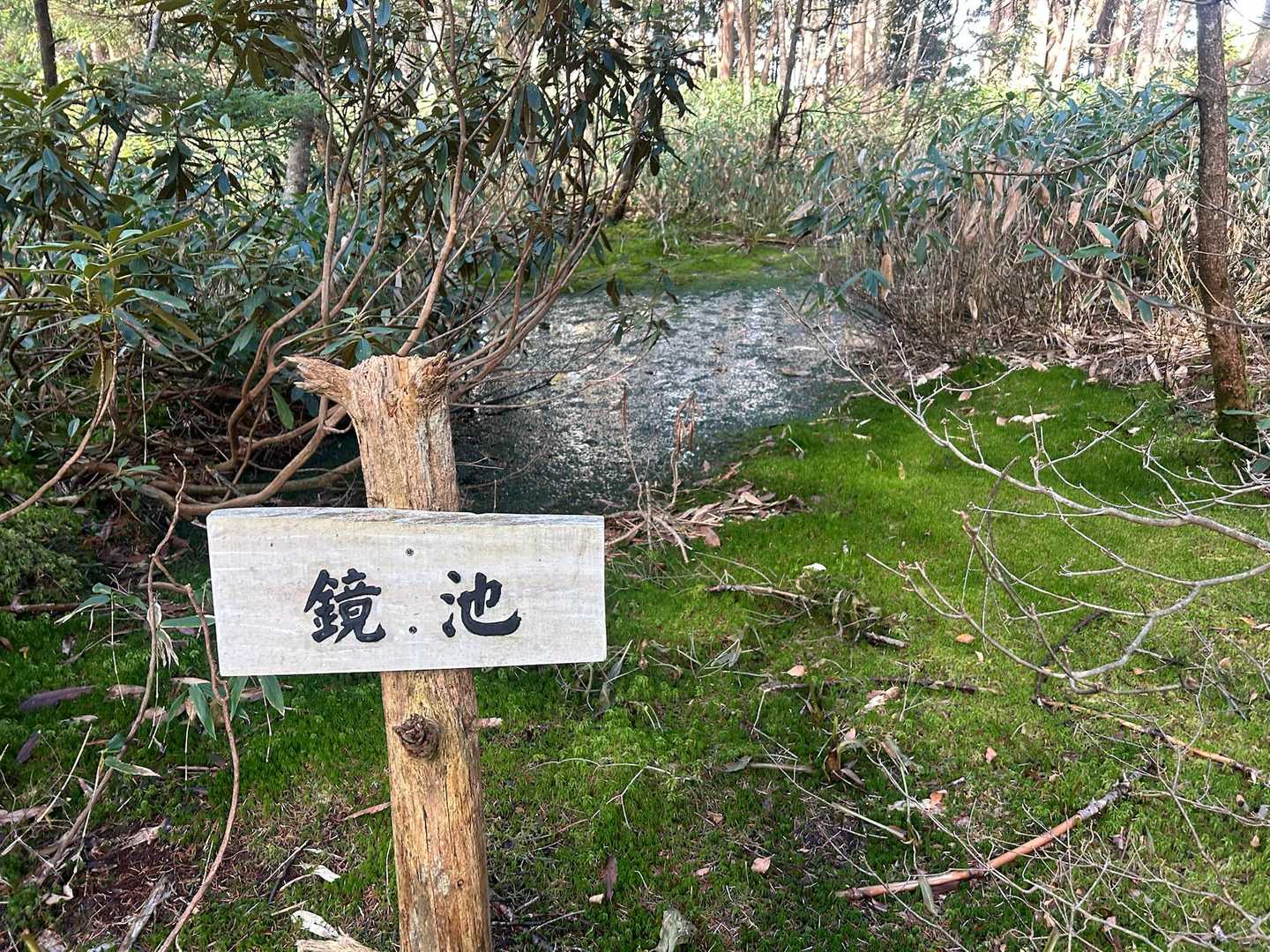 「鏡池」・・この直後辺りの道で片足沼にハマってしまった😅