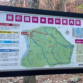 春の桜の時期と、秋の紅葉シーズンが良さそうなところ。