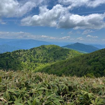 誰もいない山頂で一休み。
そろそろキツい登り返しを覚悟して帰りたいと思います。