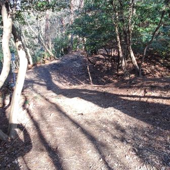 再び主郭北側の土橋