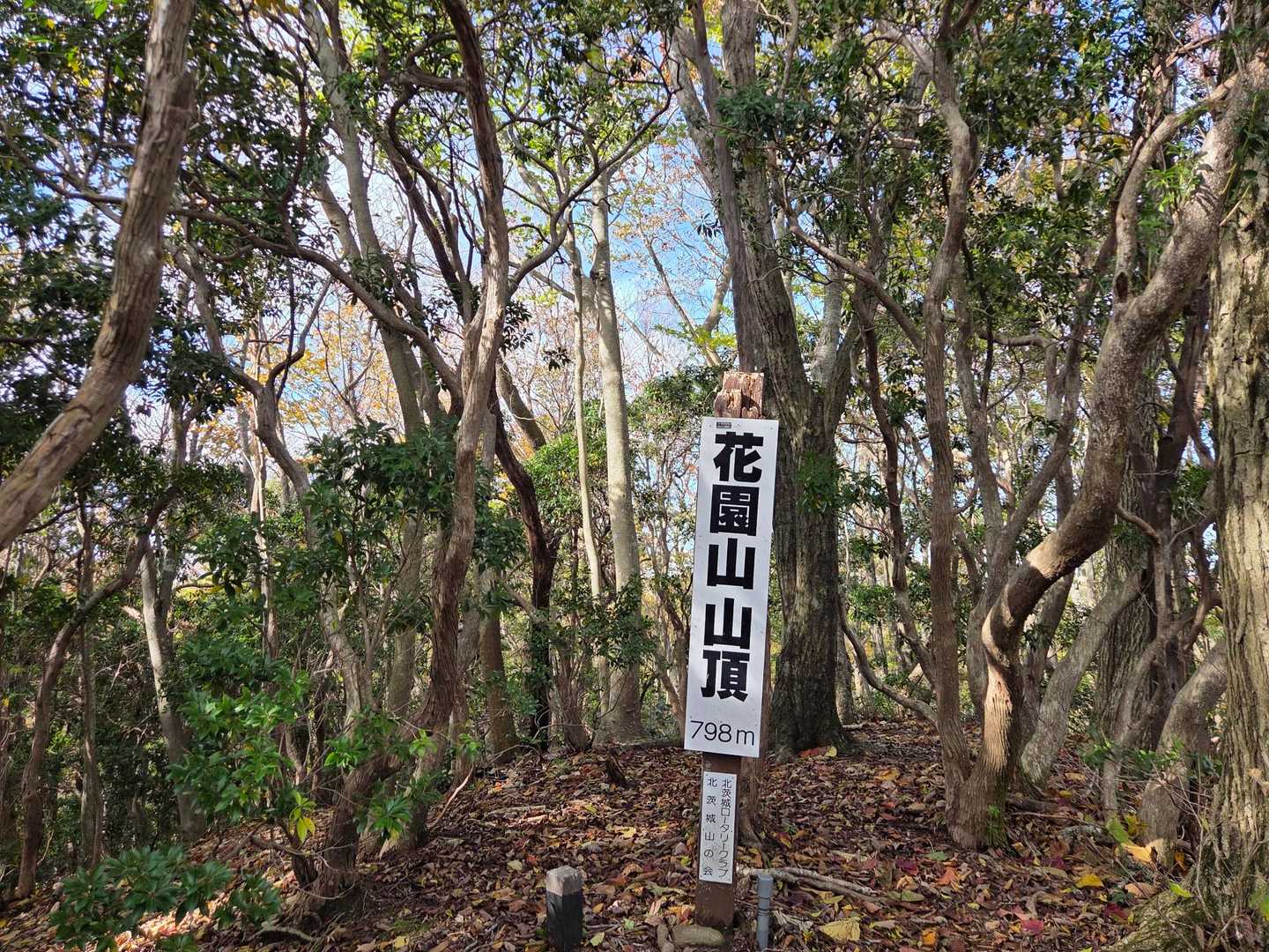花園山山頂！