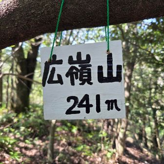 とうとう念願の広嶺山山頂へ。最近に設置されたボートなのかまだ新しいです。