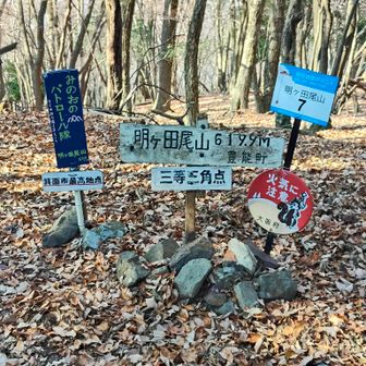 情報量多すぎ〜ぃ😅