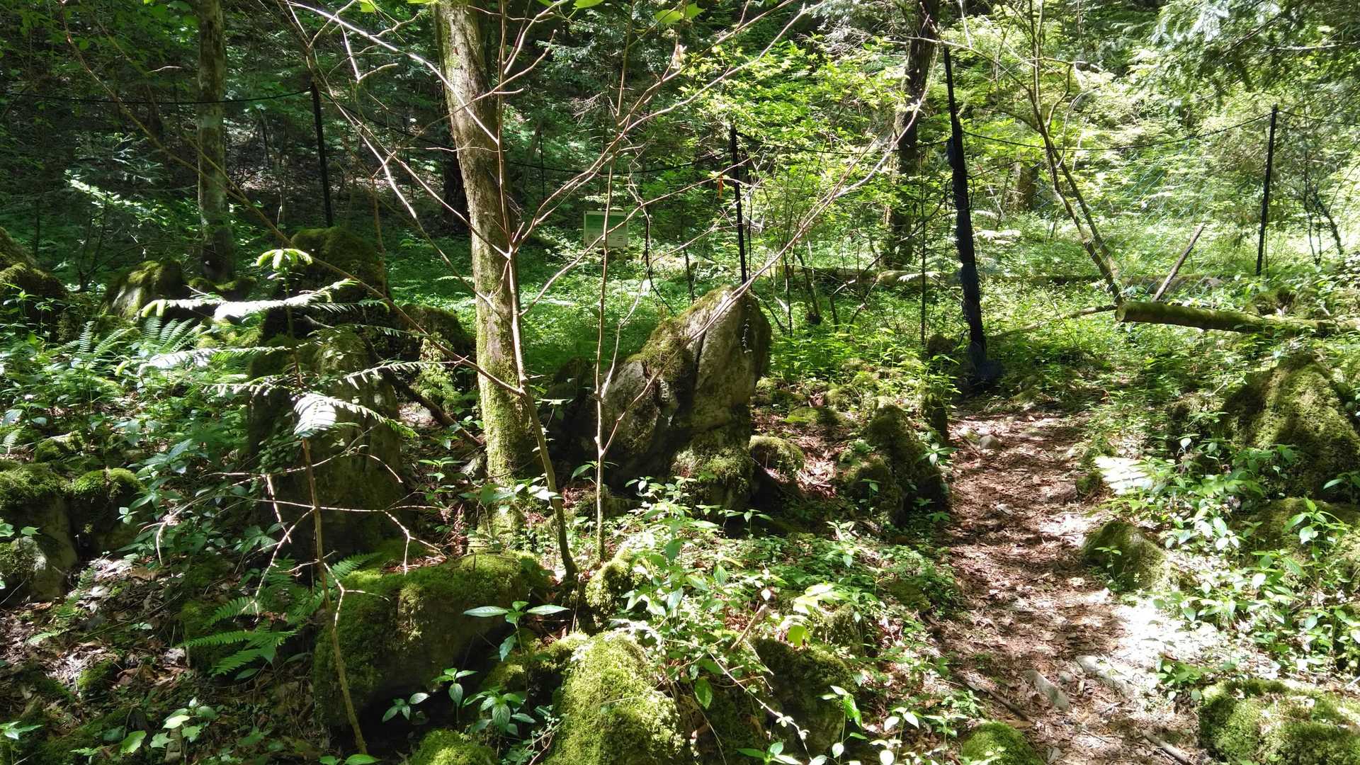 雰囲気の良いこちらは空池、　から池と読むらしい
なるほど水は無いです🐤
