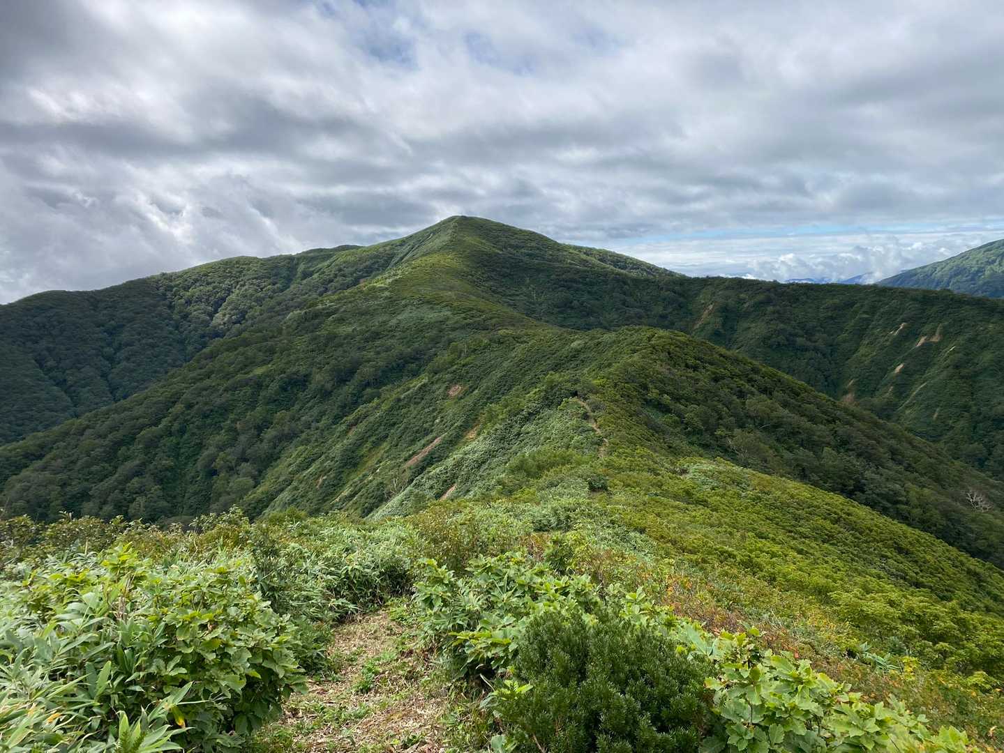 高畑登山口-高下岳-高下岳-根菅岳-大荒沢岳-沢尻岳-旧貝 縦走コースの写真