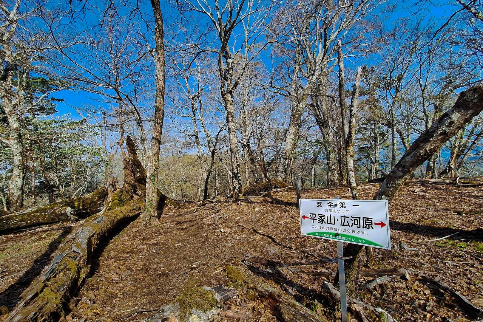 国見ー平家山－広河原の分岐点まで到着しました
話ながらだと一人の時よりも時間間隔が早いですね
あっという間の感覚ですが、割とここまで急登でした💦
帰路にこの辺りで広河原から上がってくるご家族に会いましたが、「国見まであと半分くらいですか…ｾﾞｲｾﾞｲ」
ここまで登れば、あと1時間ちょっとのなだらかなご褒美ロードですよ～😊
皆さん安堵されてました👌