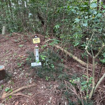 飯場山山頂、意外に素朴です🤗熱い飯場山ファンは少ないようです。
