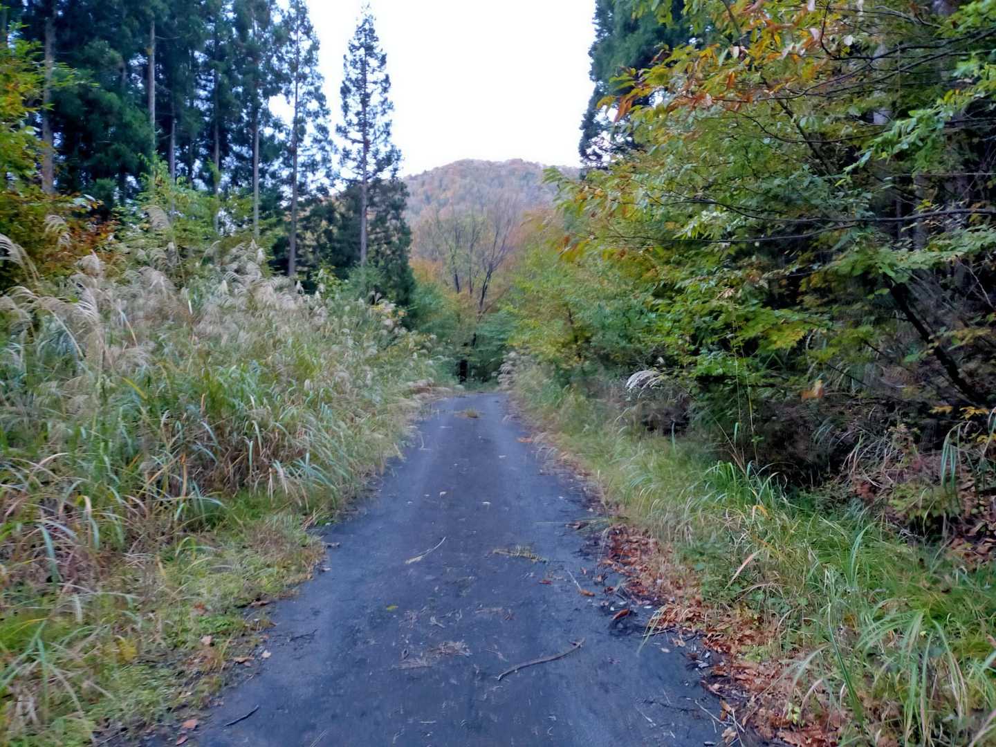 しばらくはアスファルトまたは、平らな砂利。歩きやすいです。距離稼げます。日没までになんとしても帰りたいから、ここは真っ暗でも行っちゃいたいし、この道なら行けるっ！