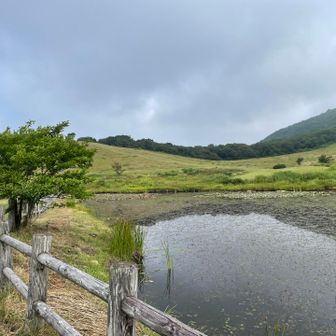 この景色好きだなー💚