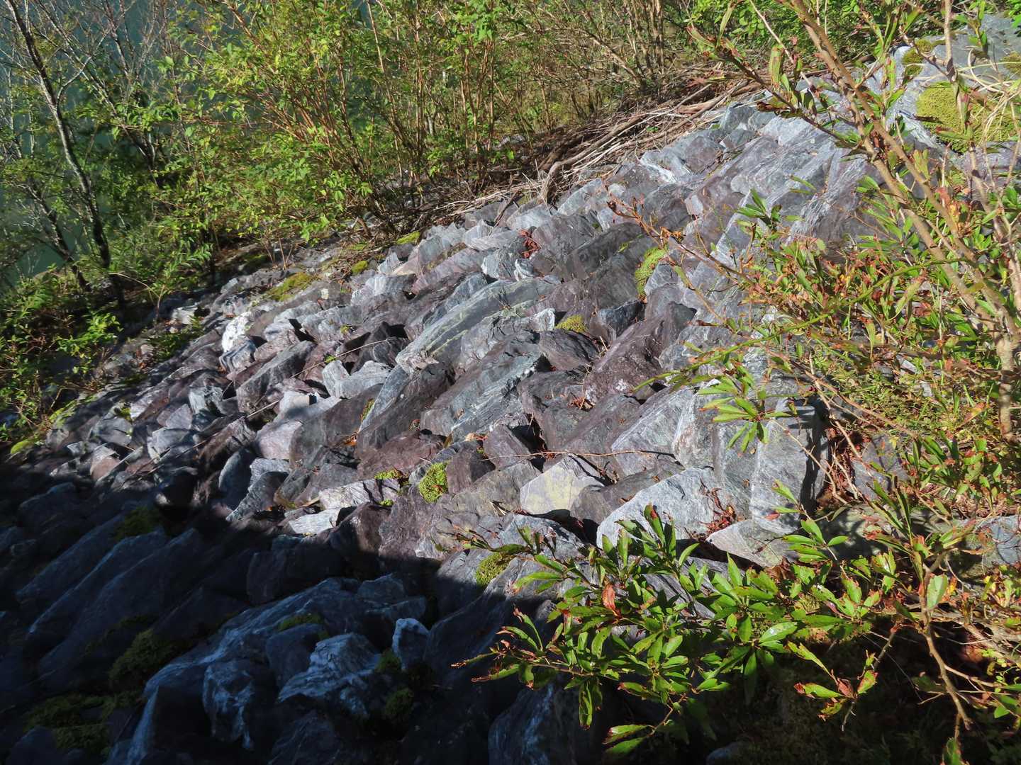 ロックフィルダムの石積み