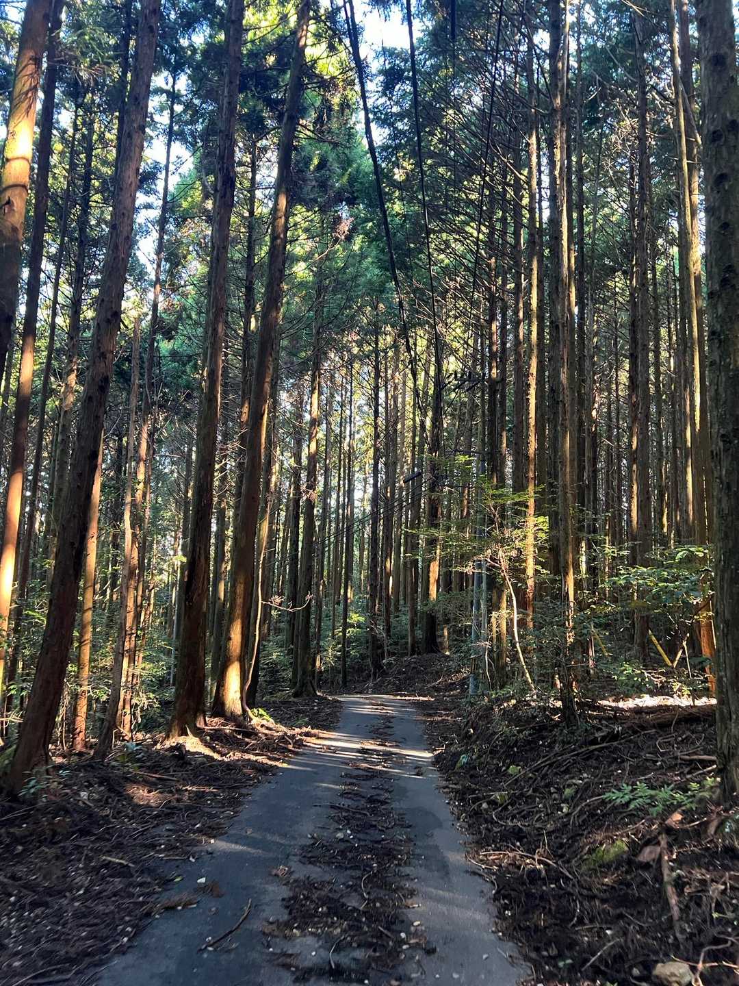 虚空蔵山登山口-虚空蔵山 周回コースの写真