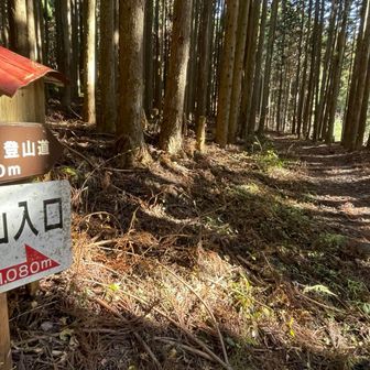 駐車場からすぐ登山道