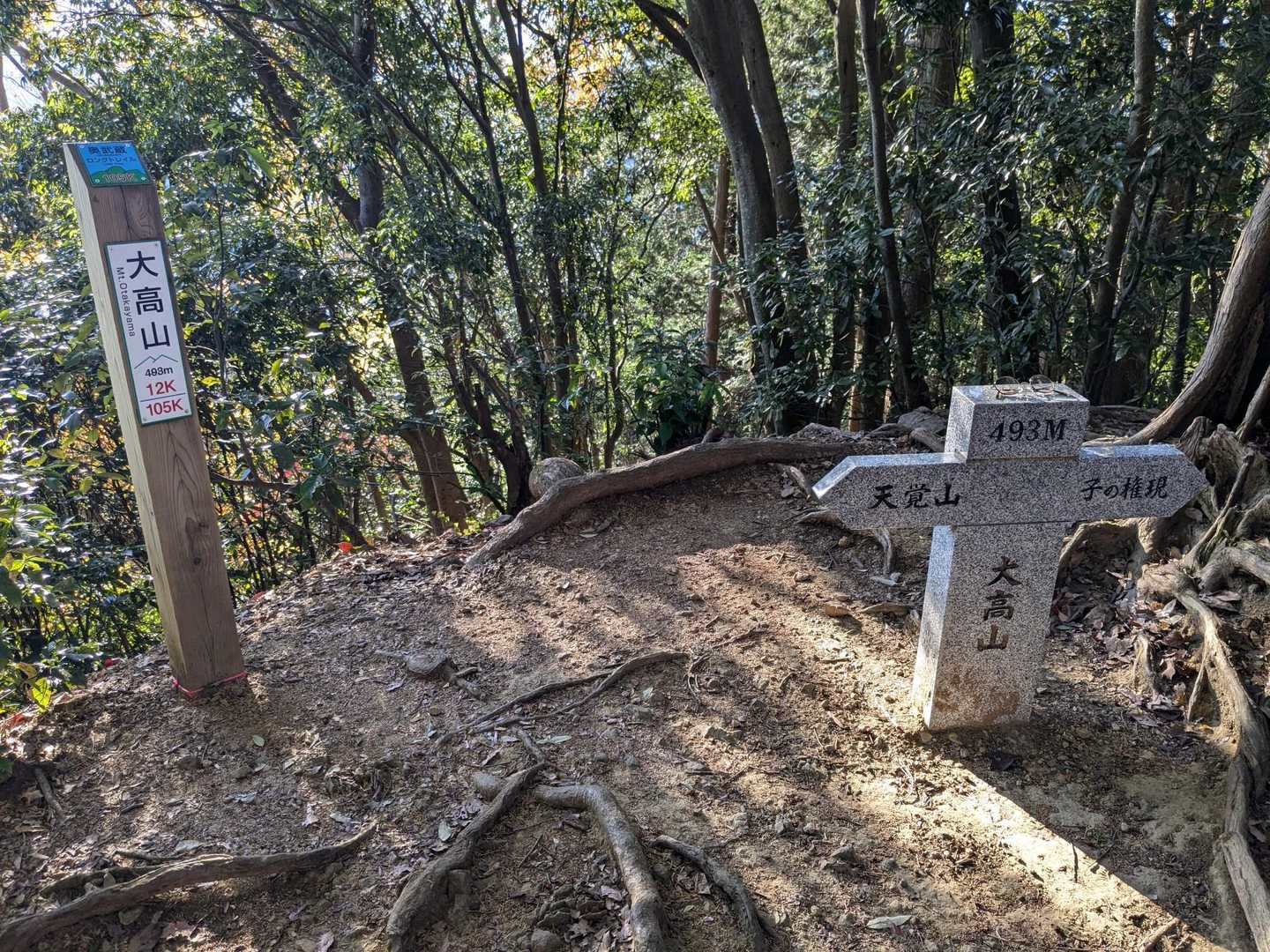 吾野駅-大高山-吾野ノ頭-天覚山-東峠-かまど山-武蔵横手 縦走コースの写真