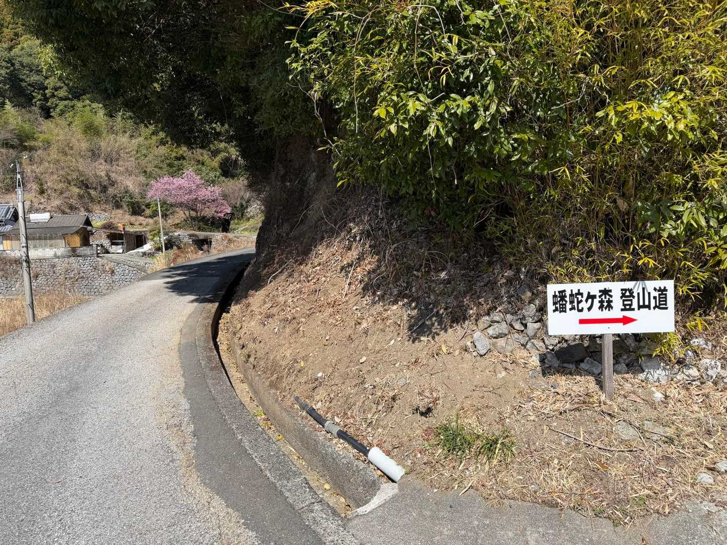 蟠蛇森 往復コースの写真