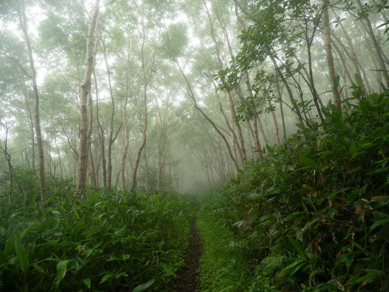 弁天山-エビ山 周回コースの写真