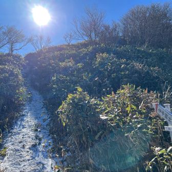 こっち👆伊予富士

強い南風が吹いて寒くてまたジャケットを着る