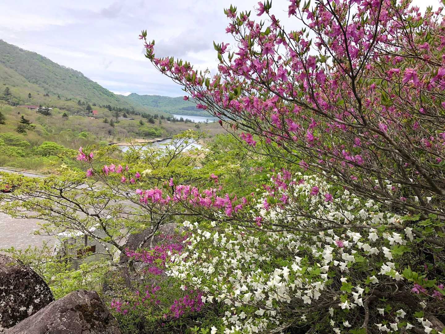 篭山-駒ヶ岳 往復コースの写真