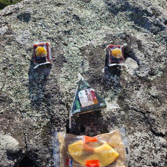 ふっきさんの真似して🎒をガサゴソと…😅
目は栗羊羹🌰