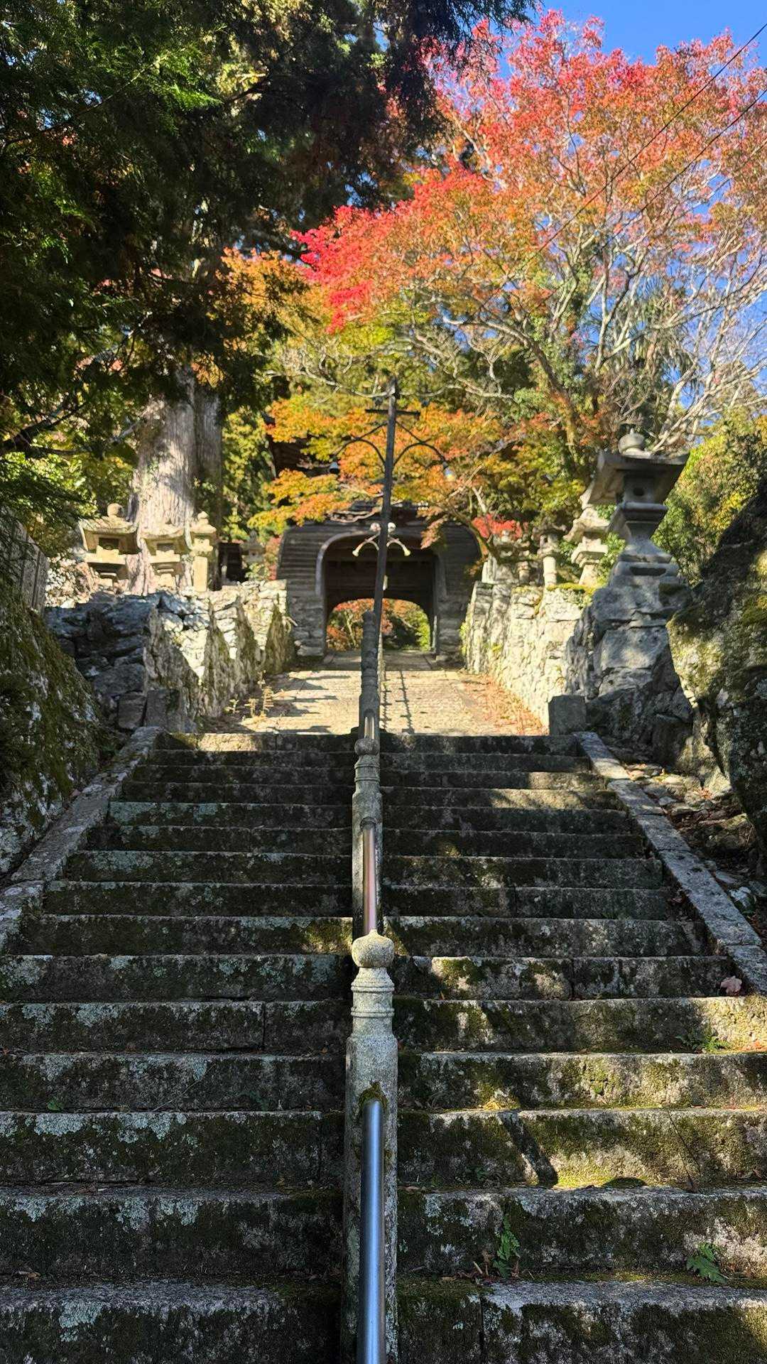 ここを登って左に登山口
