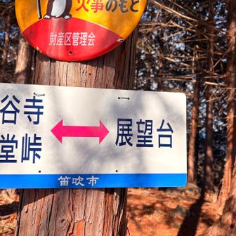 長谷寺はハセデラではない！