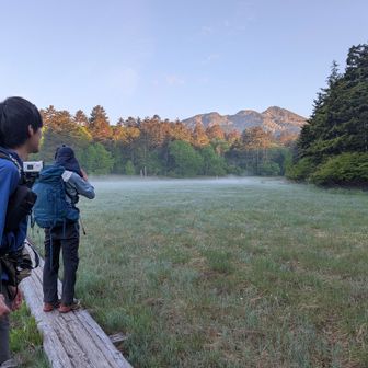 朝から写真が止まりません