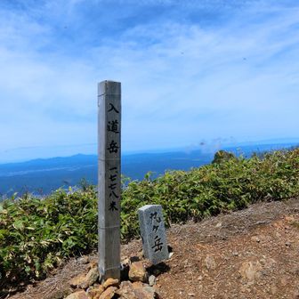 入道岳、ここで戻ります。
口の中まで羽虫が入り込むので
ササッと食事。