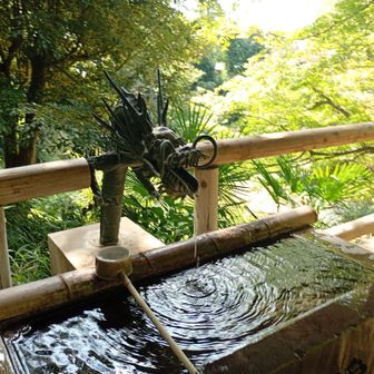 駅近くから入れたのですが、遠回りして入るという😅🌀スターティン😃💓