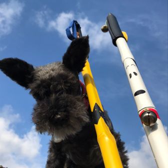 くっきーと落花生達