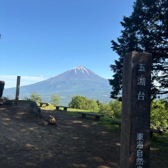 はい山頂！だれも居ない