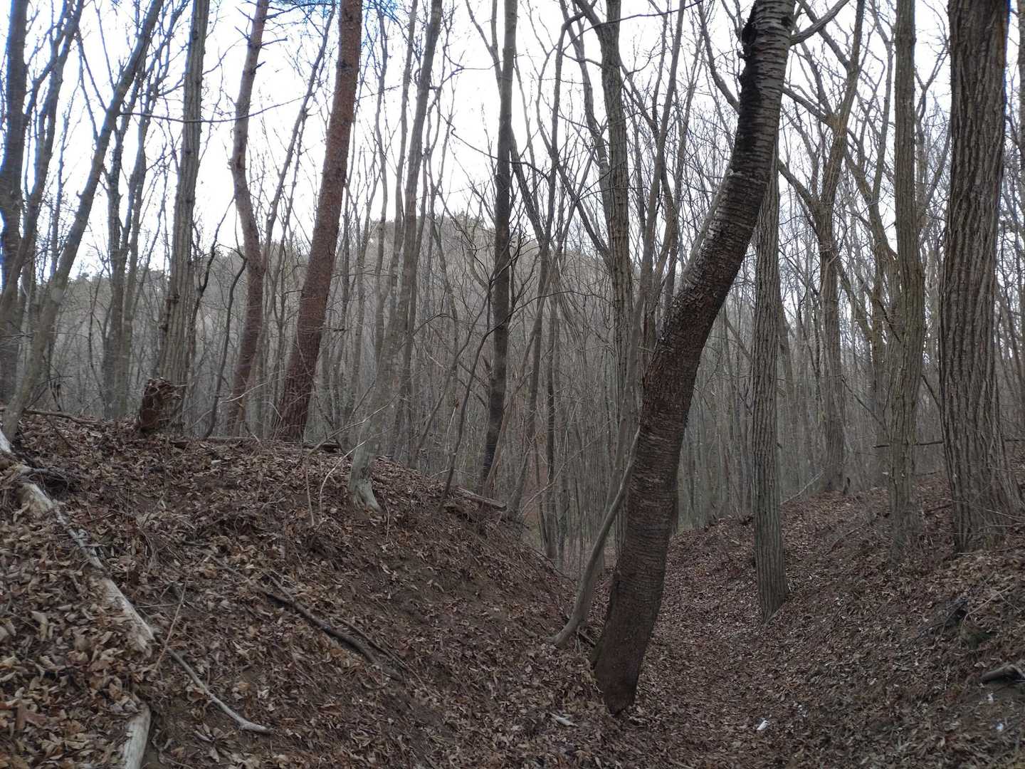 あそこが朝日山かな？