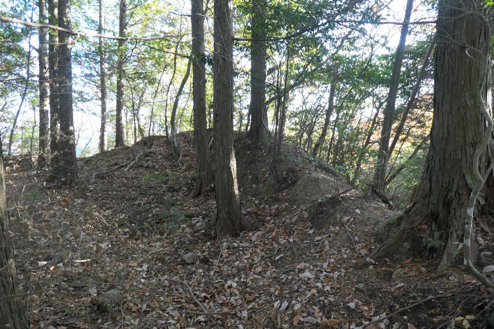 岡山(岡城址)
ぐるり土塁？に囲まれてます
