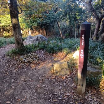 金鳥山。ルートから少しだけ外れたところ。
平らなピークで、視界は無し。