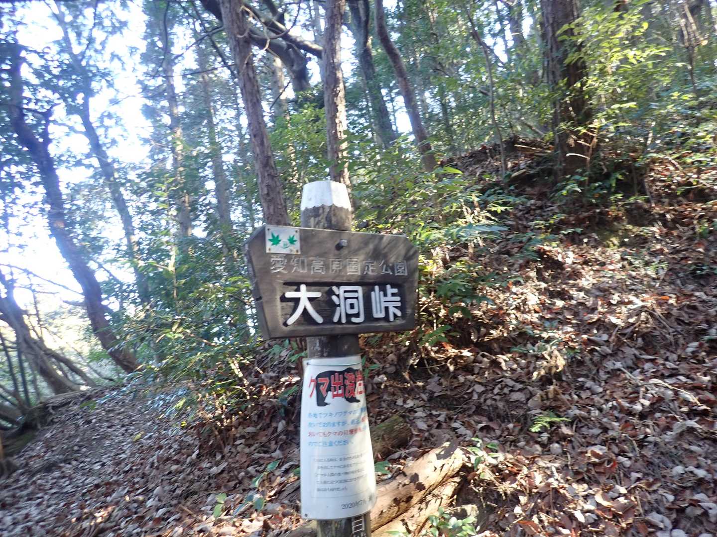 高根山-山星山 周回コースの写真