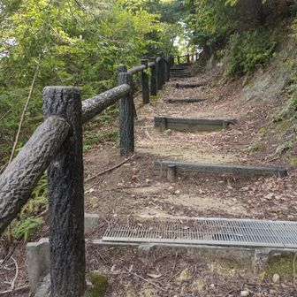 山道は綺麗に整備されていて歩きやすいです。
