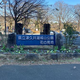 駐車場🅿️（無料）から
スタート