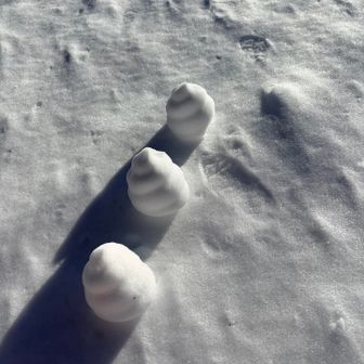 山小屋前のオブジェ
ソフトクリームだったらよかったのですが