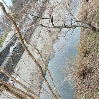 🅿️から見えた川で、
バーベキューができると聞きました🎉