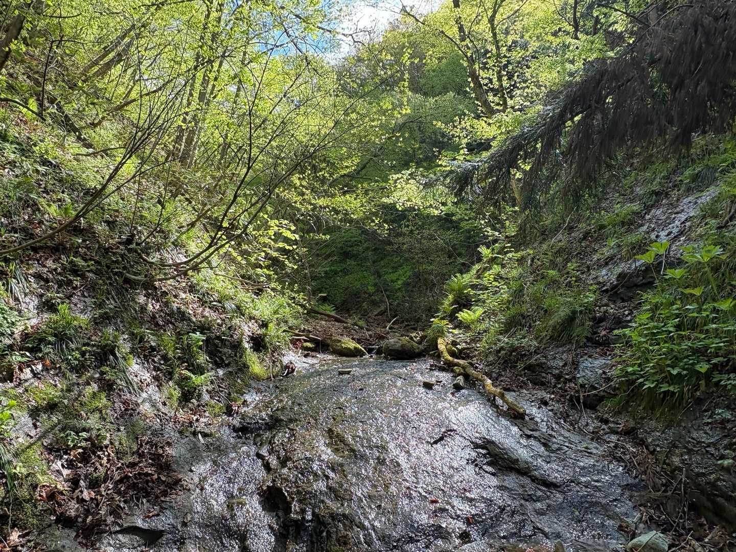 やっと下に着いて安堵
ここまで粘土質がとても滑りやすくて
ロープがほしい〜と思った瞬間がたくさん