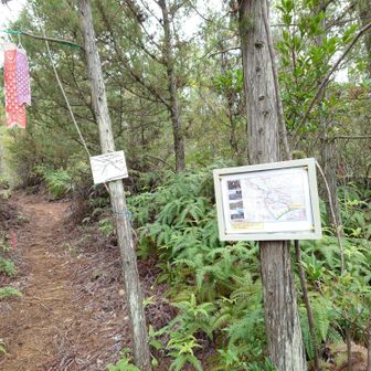 十畳岩コース　登山口
案内標あり駐車場所から8分くらい舗装路を下り右手にガードレールのない所が登山口になってます