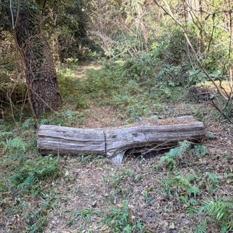 適当にショートカットしたらこちらに出てきました。