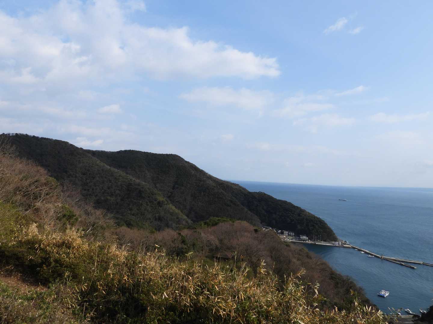 馬着山 往復コースの写真