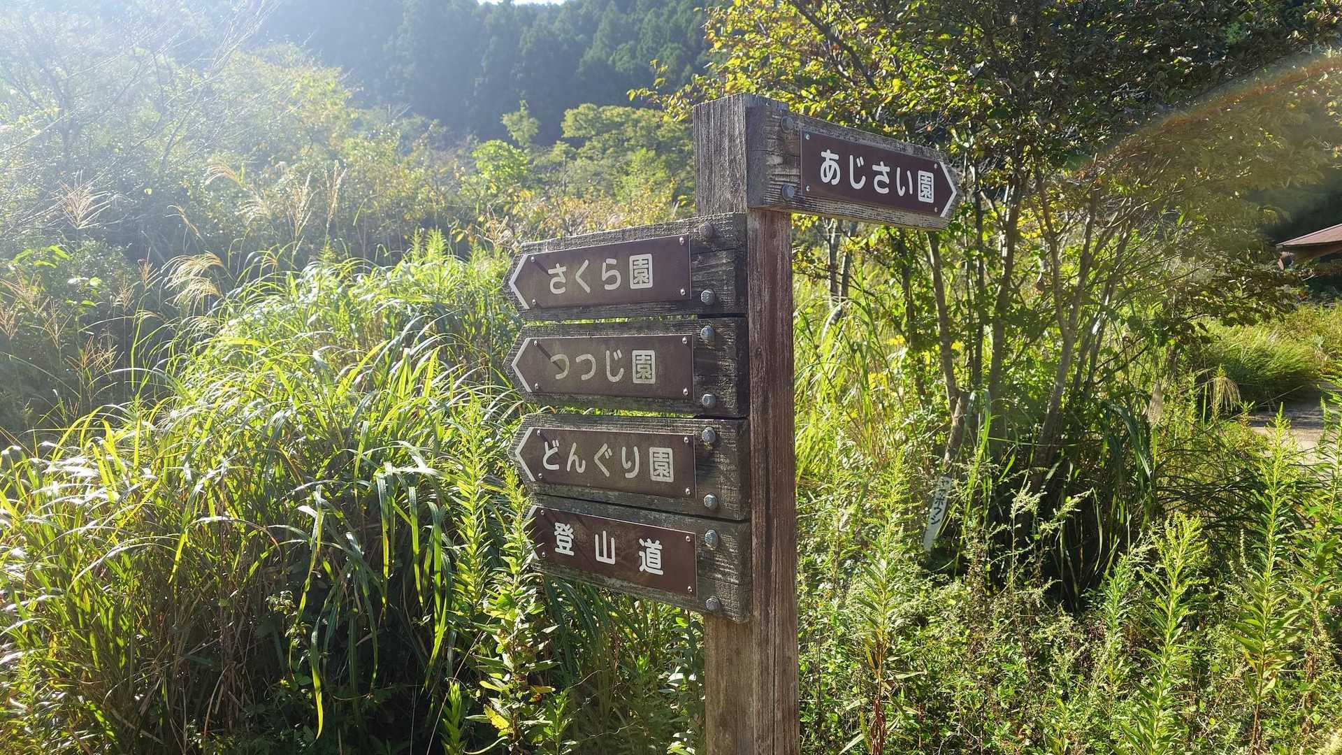 花園の案内のはずが１番下に
登山道の案内
かつては登山もアクティビティの1つだったのかもね😌