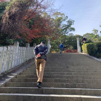車井戸でおうどんを食べて、いつものコースで
お散歩です。
東雲神社の階段