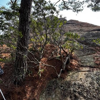 かんかけ岩〜キター🤩