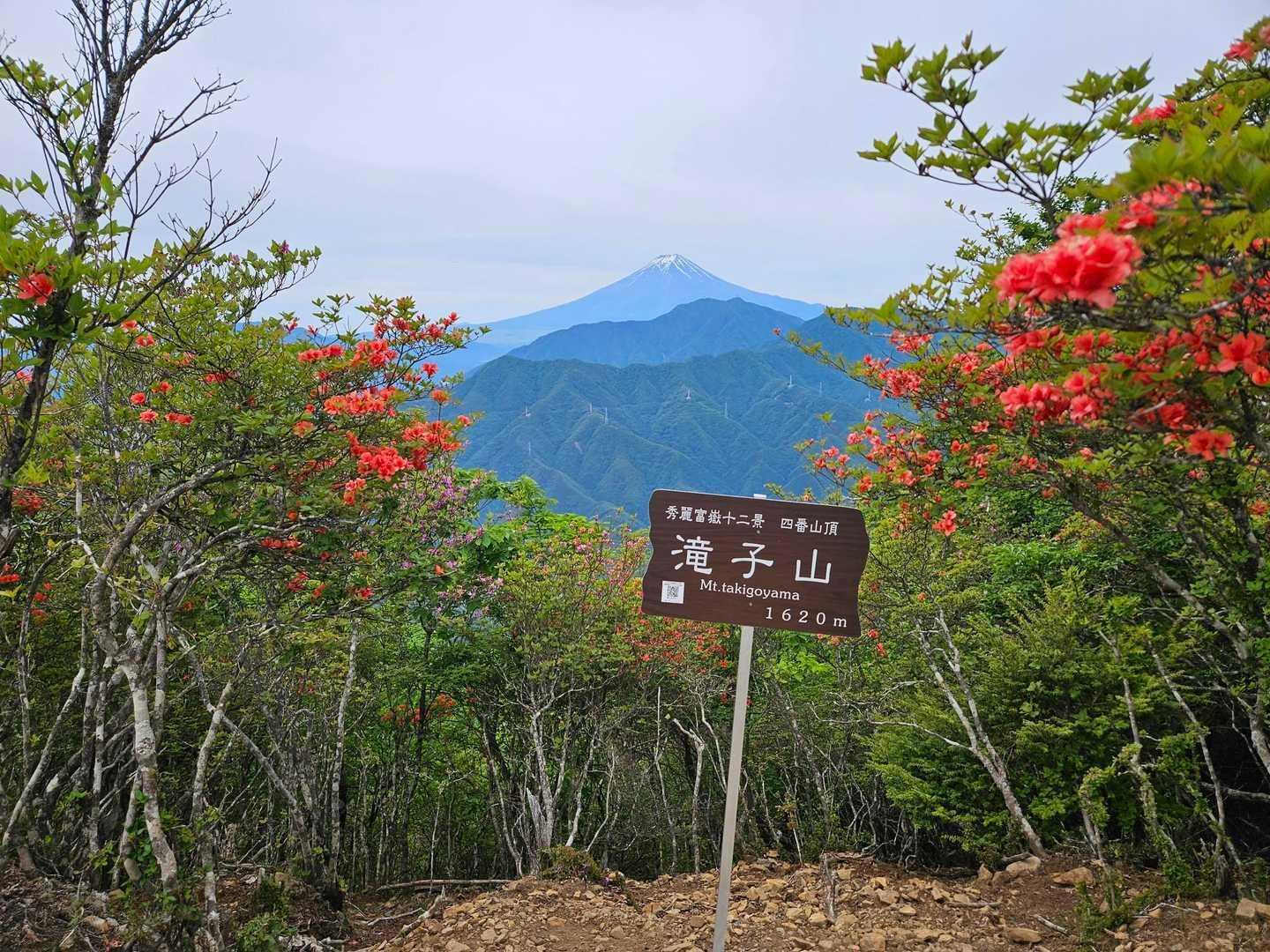 【JAPAN TRAIL】大菩薩連嶺登山道②（初狩 - 湯の沢峠）の写真