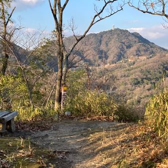 振り返って菊水山山頂のアンテナ📡
本当は天王茶屋のあとは菊水山、鍋蓋山登って再度公園で最後のスタンプ押して終わるはずでしだが年越しになりそう