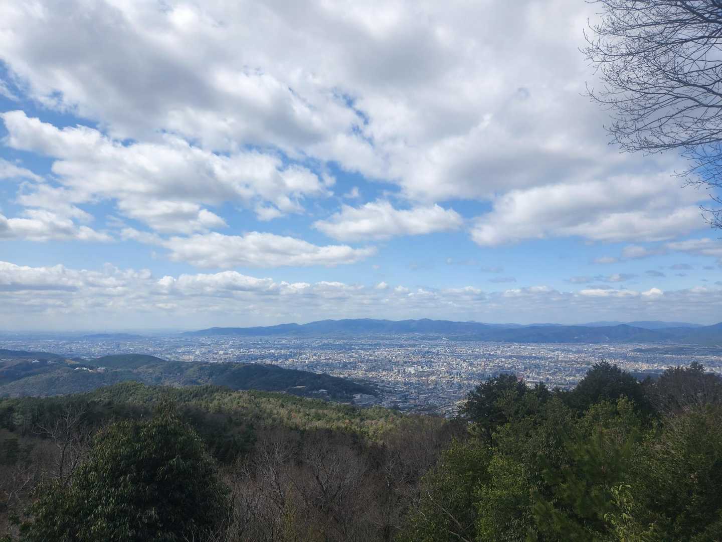 木々の中すいすい～と頂上😂