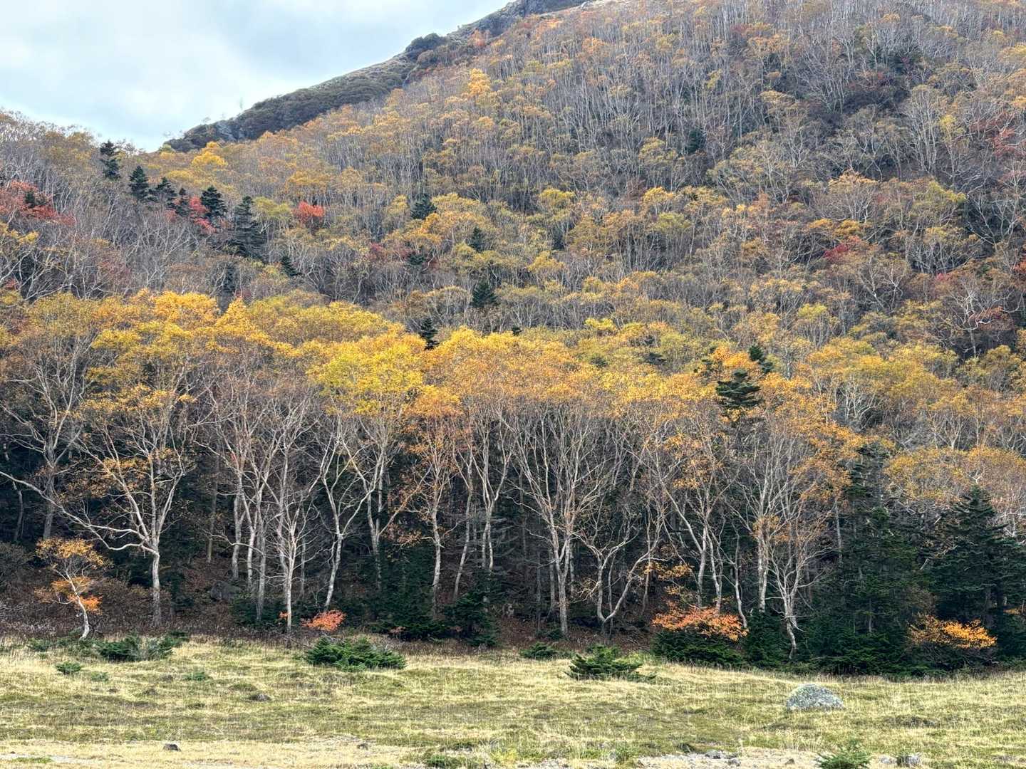 山頂駅-日光白根山-五色沼-弥陀ヶ池 周回コースの写真